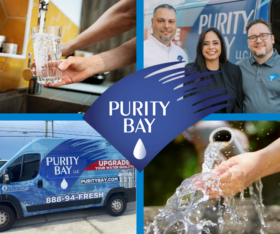 SPONSOR LIFETIME (NOCO) (6)